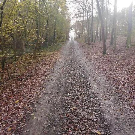 Domek Na Vrsku